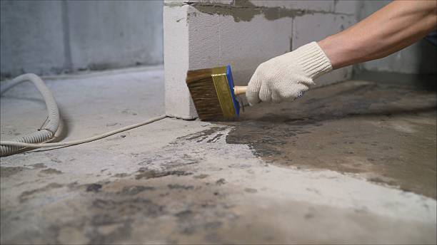 24/7 Emergency Crawl Space Encapsulation experts in Barberton, WA